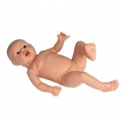 Erler-Zimmer Infant Manikin for Parent Education (Male)